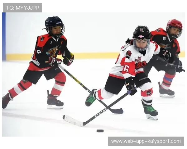 冰球年轻化阵容带来未来数年的竞争力